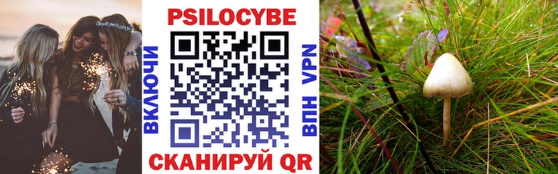 Галлюциногенные грибы мухоморы  Торопец 